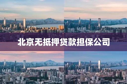 北京无抵押贷款担保公司