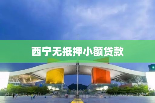 西宁无抵押小额贷款