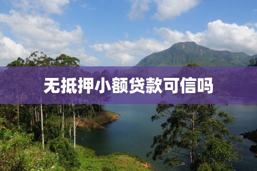无抵押小额贷款可信吗