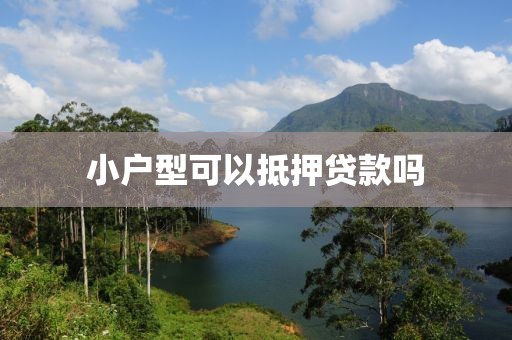 小户型可以抵押贷款吗