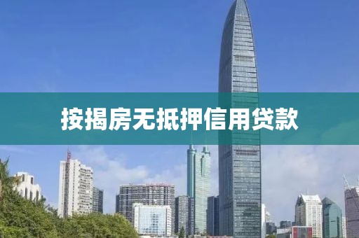 按揭房无抵押信用贷款