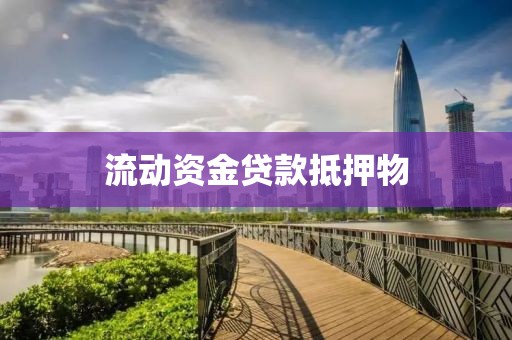 流动资金贷款抵押物