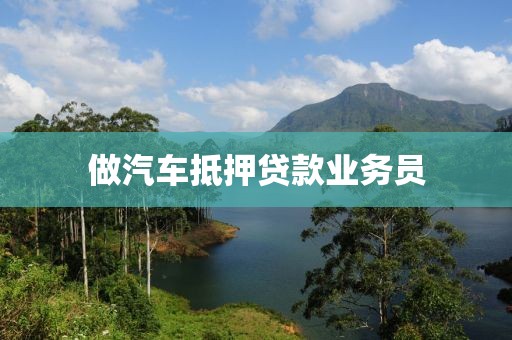 做汽车抵押贷款业务员