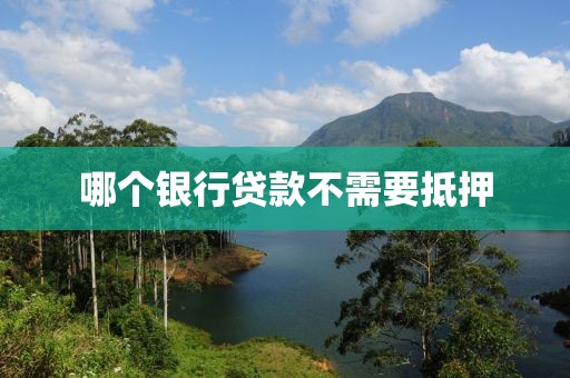 哪个银行贷款不需要抵押