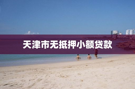 天津市无抵押小额贷款