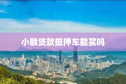 小额贷款抵押车能买吗