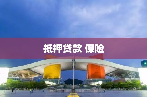 抵押贷款 保险