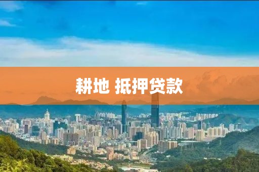 耕地 抵押贷款