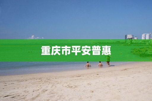 重庆市平安普惠