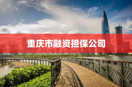 重庆市融资担保公司