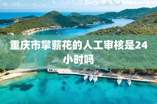 重庆市掌薪花的人工审核是24小时吗