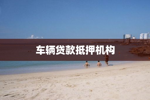 车辆贷款抵押机构