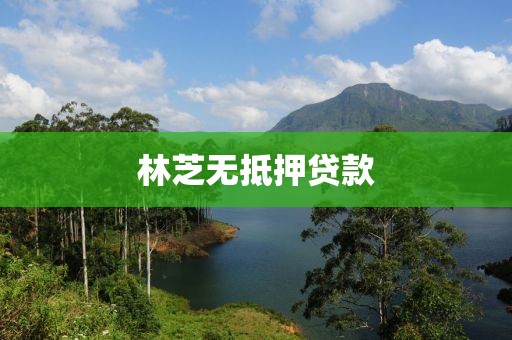 林芝无抵押贷款