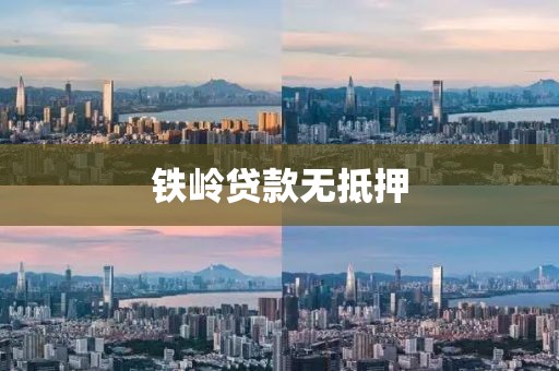 铁岭贷款无抵押