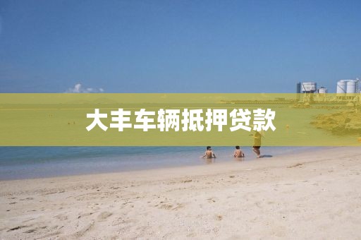 大丰车辆抵押贷款