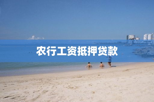 农行工资抵押贷款