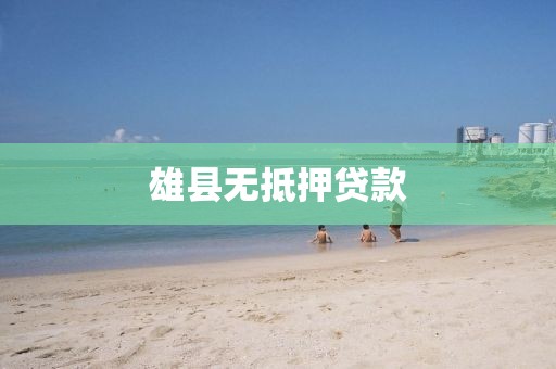 雄县无抵押贷款