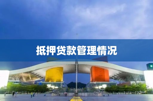 抵押贷款管理情况