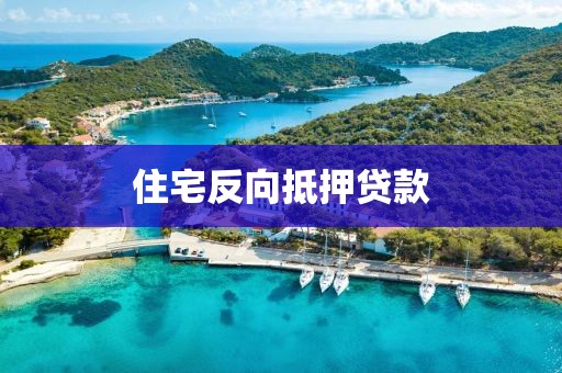 住宅反向抵押贷款