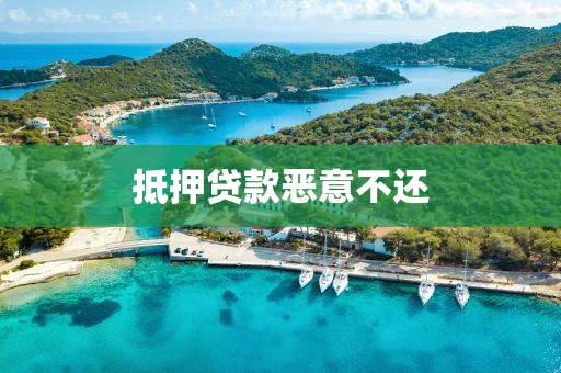 抵押贷款恶意不还