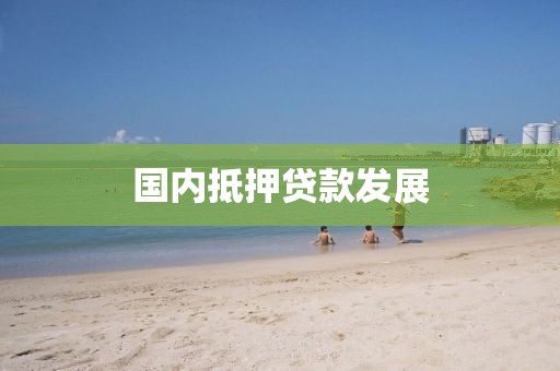 国内抵押贷款发展