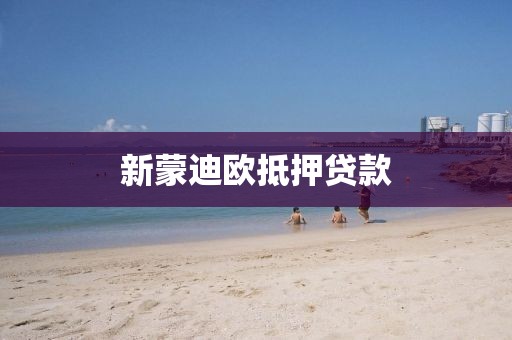 新蒙迪欧抵押贷款