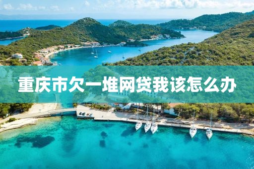 重庆市欠一堆网贷我该怎么办