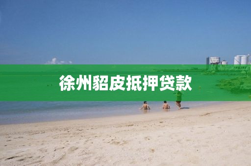 徐州貂皮抵押贷款
