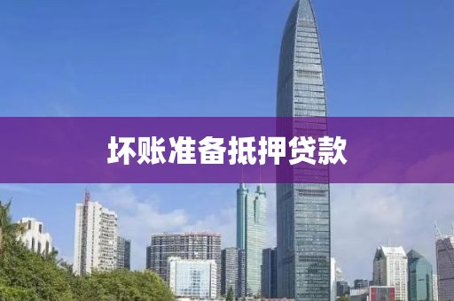 坏账准备抵押贷款