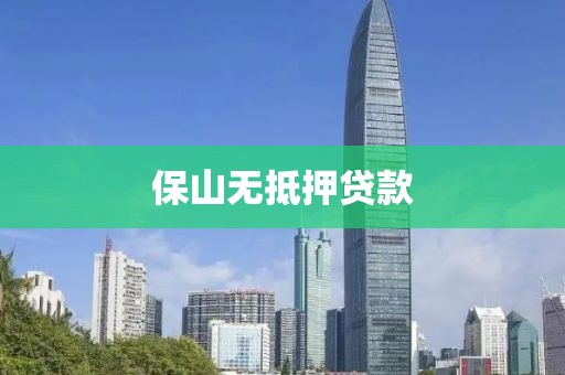 保山无抵押贷款