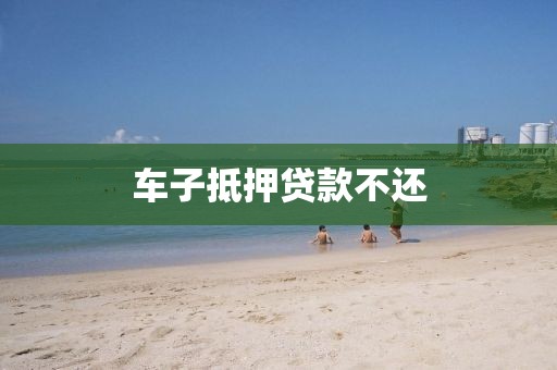 车子抵押贷款不还