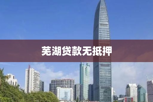 芜湖贷款无抵押