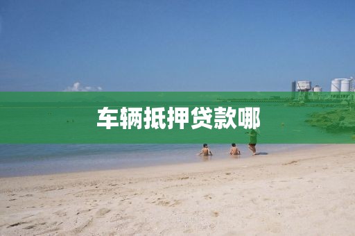 车辆抵押贷款哪