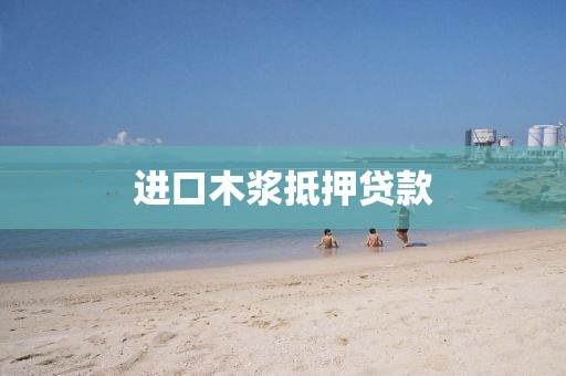 进口木浆抵押贷款