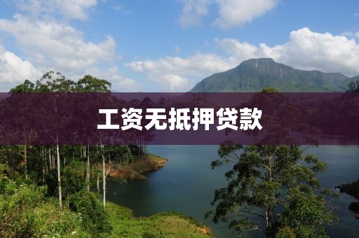 工资无抵押贷款
