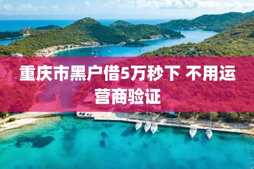 重庆市黑户借5万秒下 不用运营商验证