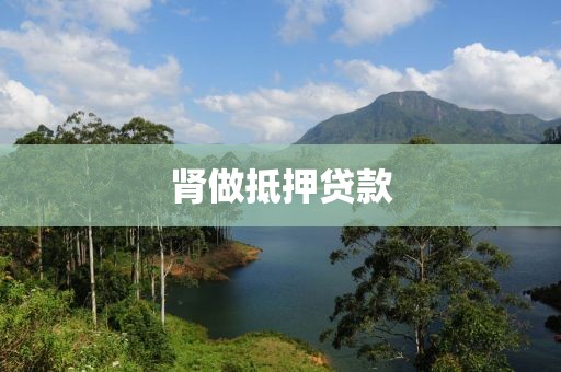 肾做抵押贷款