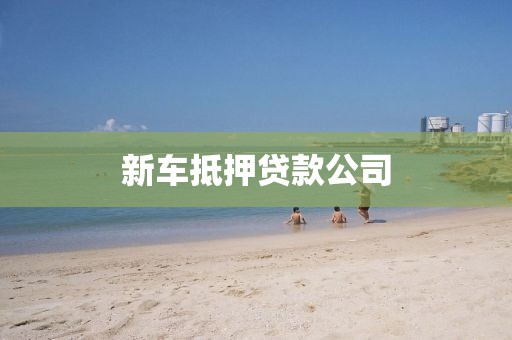 新车抵押贷款公司