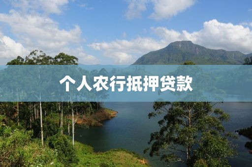个人农行抵押贷款