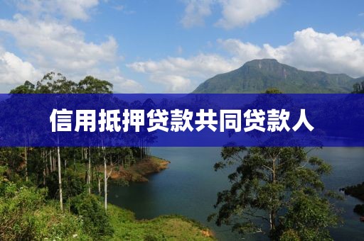 信用抵押贷款共同贷款人