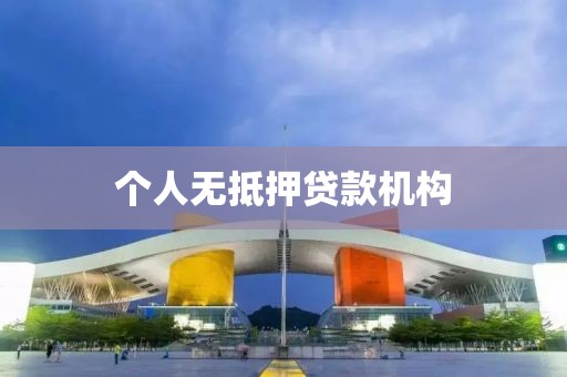 个人无抵押贷款机构