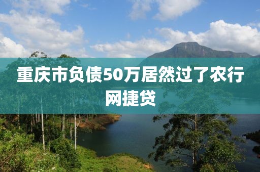 重庆市负债50万居然过了农行网捷贷