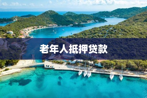老年人抵押贷款