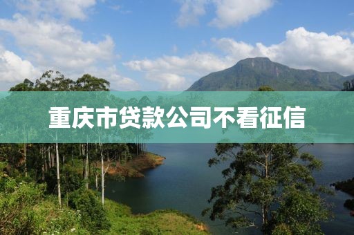 重庆市贷款公司不看征信