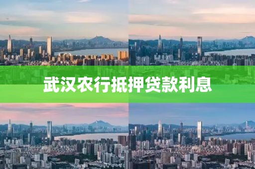 武汉农行抵押贷款利息