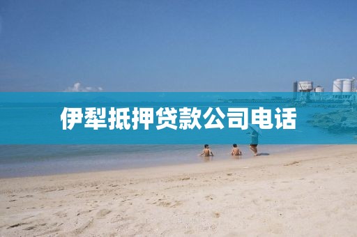 伊犁抵押贷款公司电话