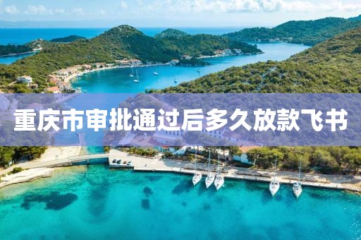 重庆市审批通过后多久放款飞书