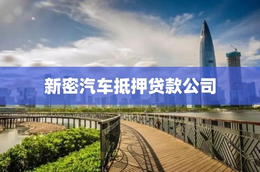 新密汽车抵押贷款公司