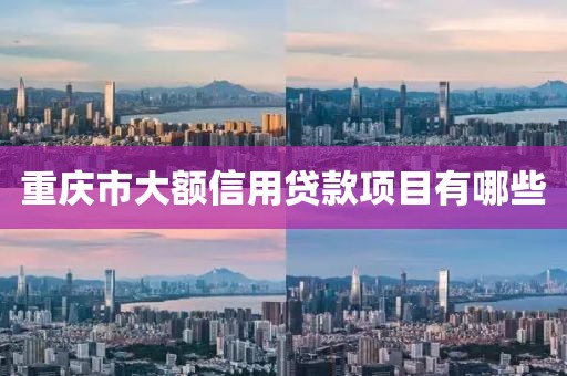 重庆市大额信用贷款项目有哪些