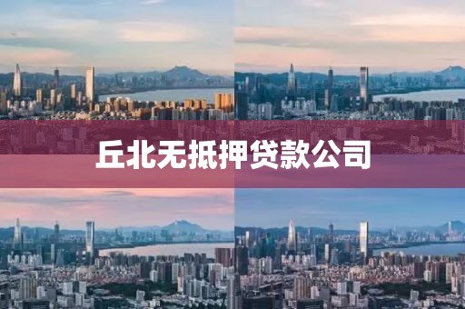 丘北无抵押贷款公司